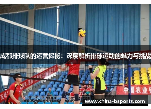 成都排球队的运营揭秘：深度解析排球运动的魅力与挑战